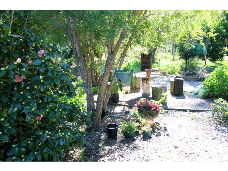 8 Kingfisher Close, Medowie NSW 2318