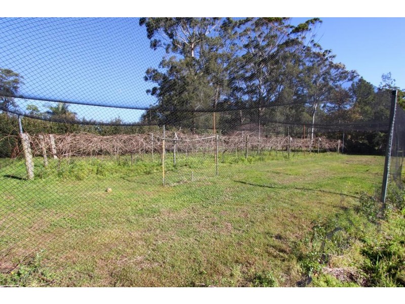 8 Kingfisher Close, Medowie NSW 2318