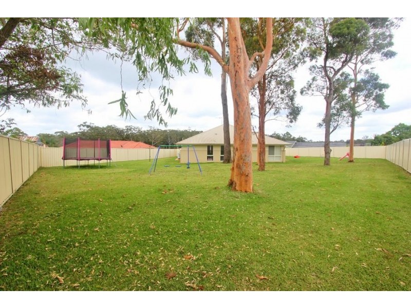5 Scribbly Place, Medowie NSW 2318