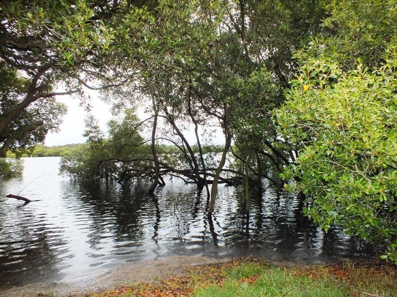 202 Lemon Tree Passage Road, Salt Ash NSW 2318