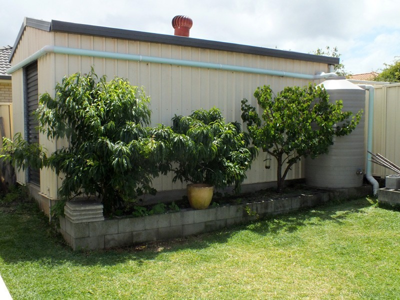 7 Silverwood Close, Medowie NSW 2318