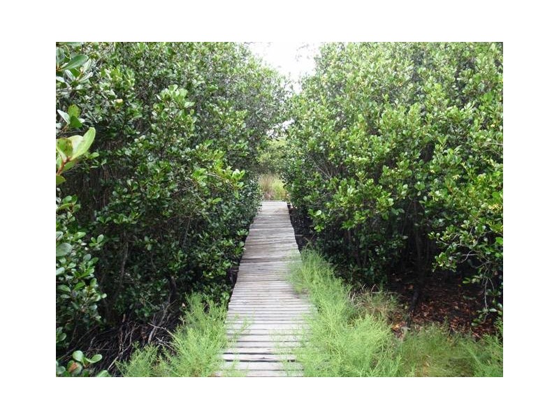 160 Lemon Tree Passage Road, Salt Ash NSW 2318