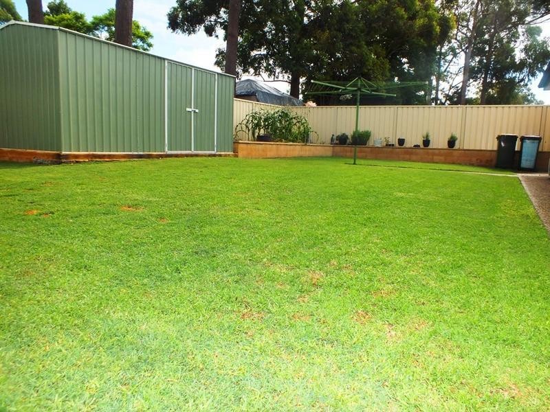 8 Rosewood Drive, Medowie NSW 2318