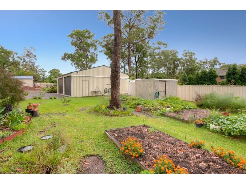 17 Sassin Crescent, Medowie NSW 2318