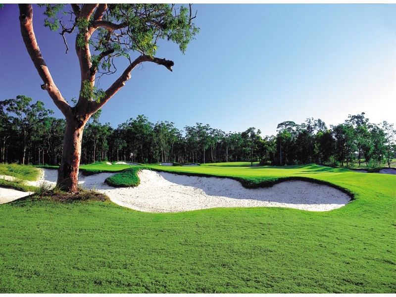 27 Sunningdale Circuit, Medowie NSW 2318