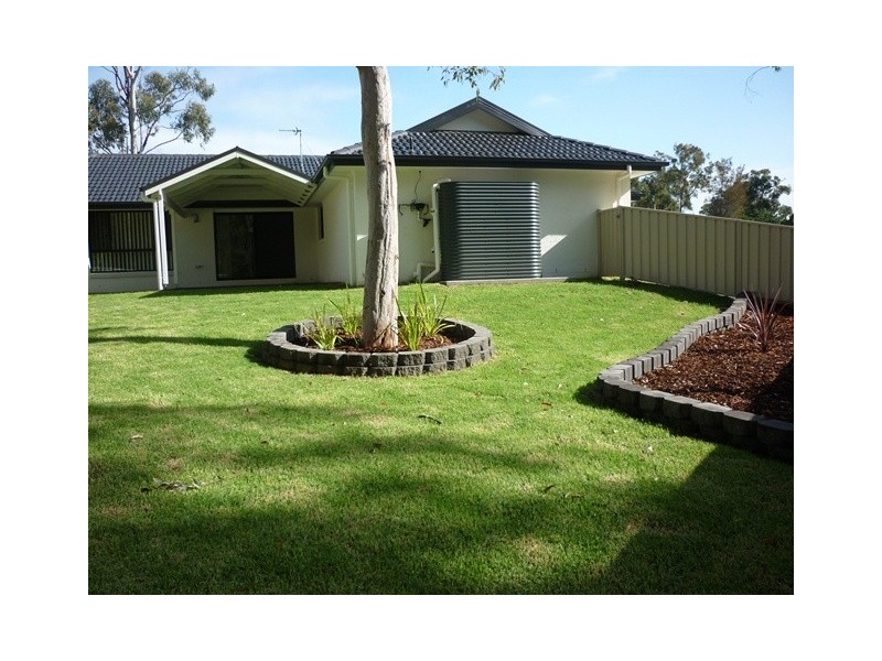 12 Geebung Close, Medowie NSW 2318