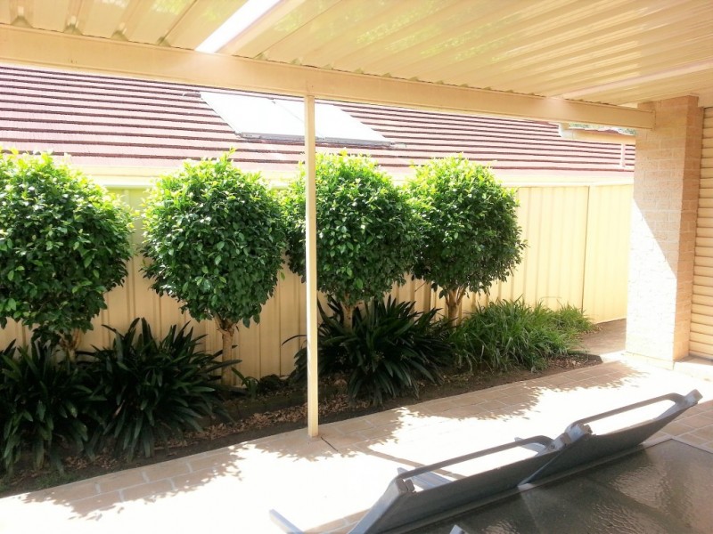 1 Lilly Pilly Close, Medowie NSW 2318