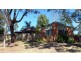 29 Casuarina Avenue, Medowie NSW 2318