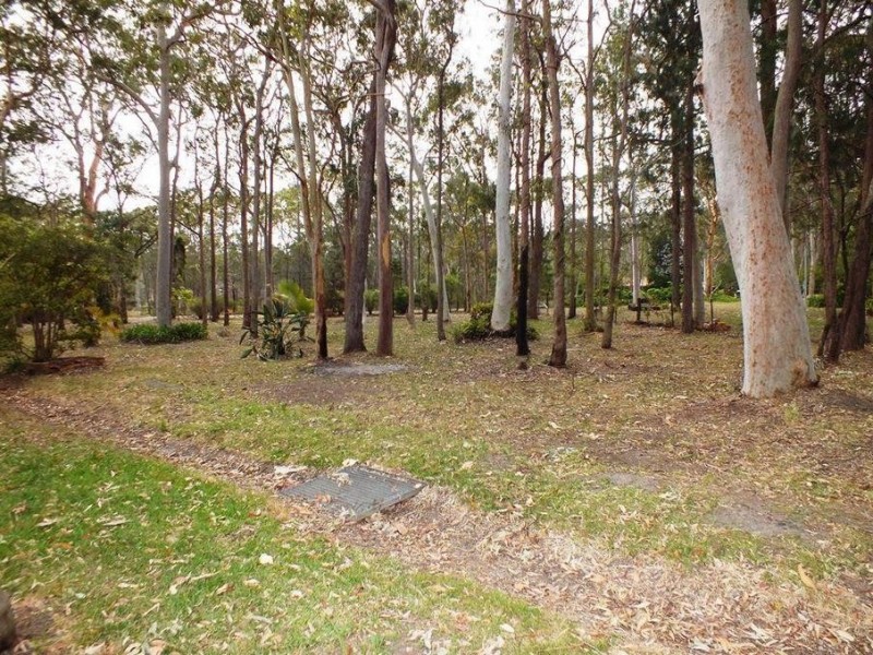 6 Abercrombie Road, Medowie NSW 2318