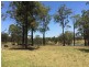 Ferodale NSW 2318
