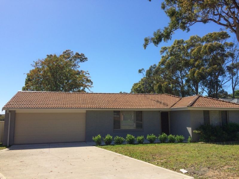 6 Kindlebark Drive, Medowie NSW 2318