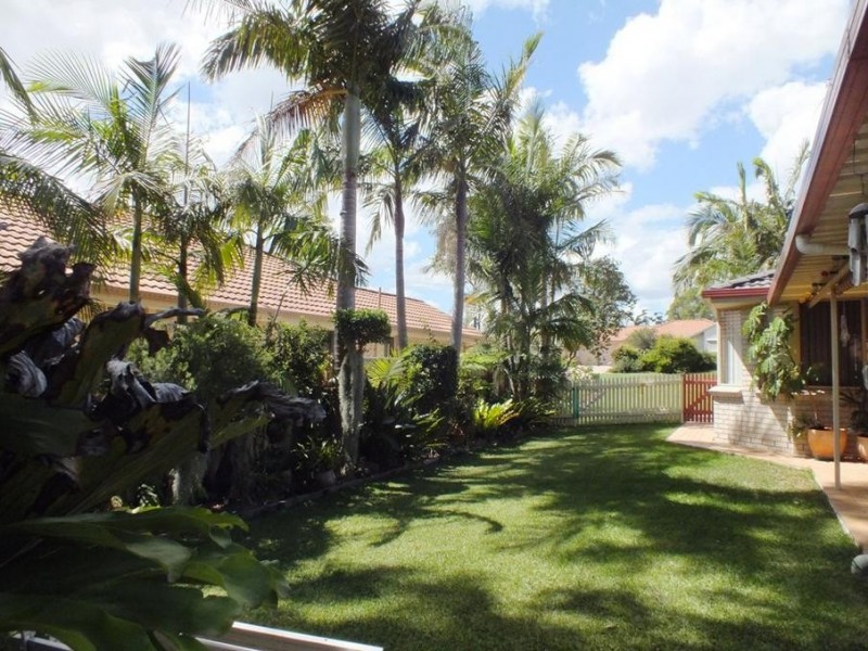 137 Kindlebark Drive, Medowie NSW 2318