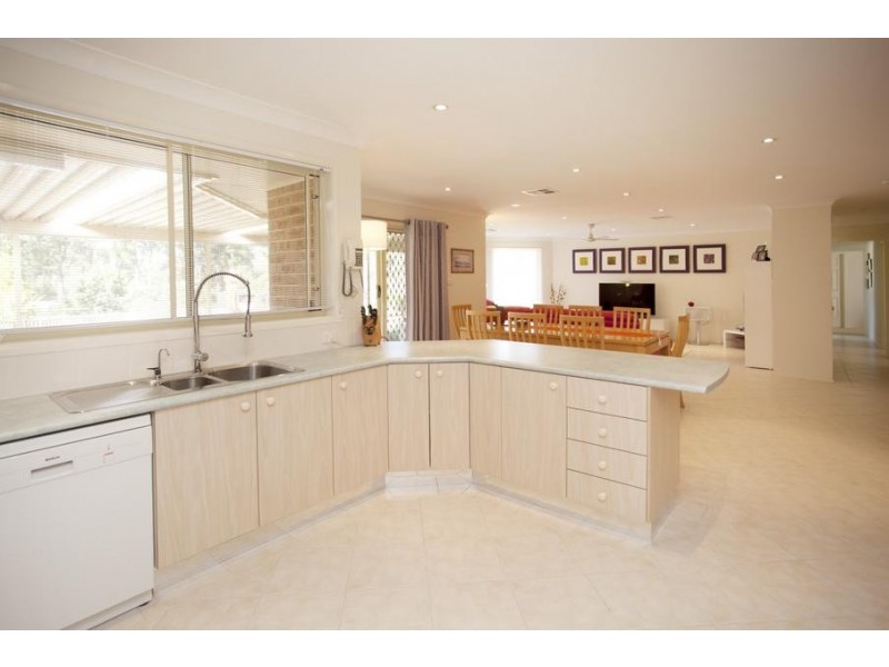 19 Potoroo Boulevard, Medowie NSW 2318