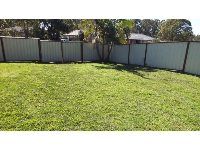 18 Brushbox Avenue, Medowie NSW 2318