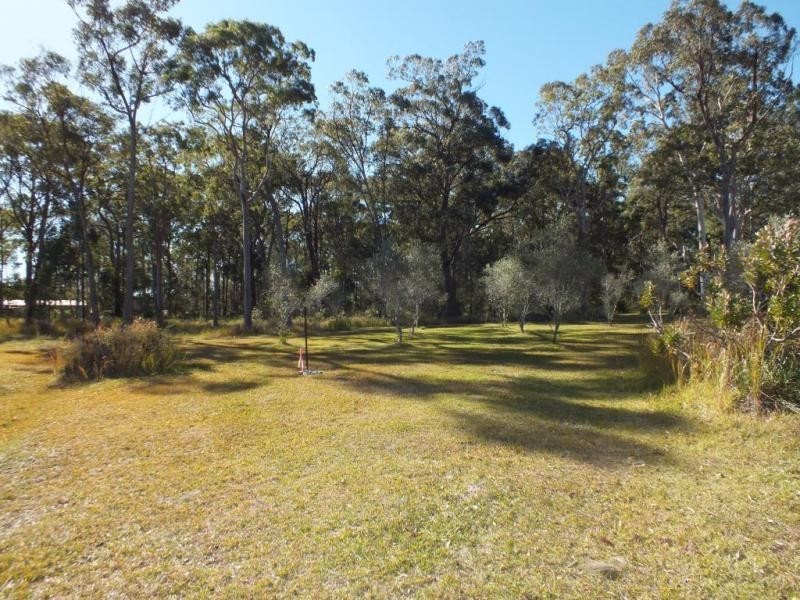 16A Mahogany Place, Medowie NSW 2318