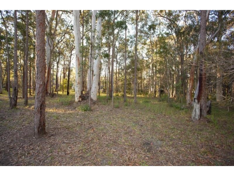 9 Abercrombie Road, Medowie NSW 2318