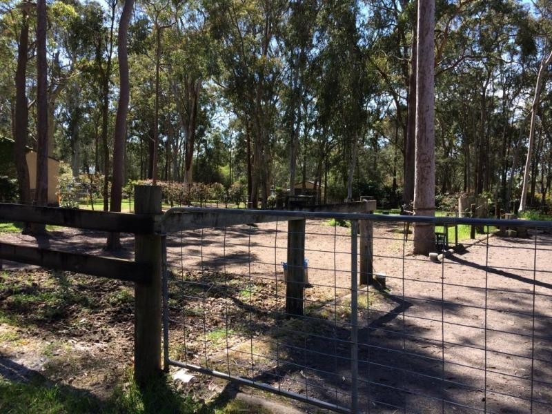 8 Jaywood Close, Medowie NSW 2318