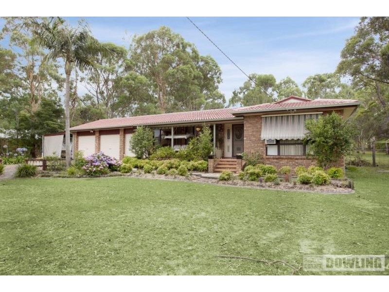 38 Lewis Drive, Medowie NSW 2318