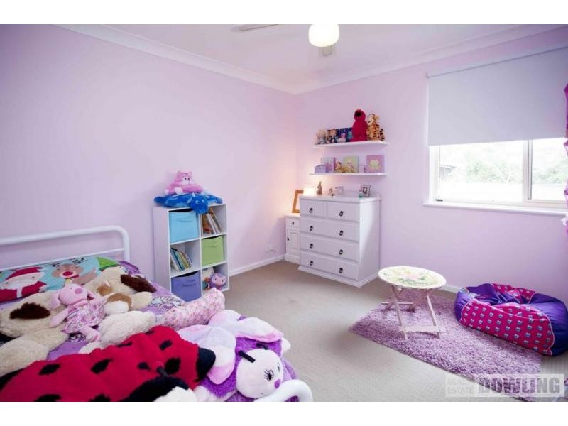 20 Silver Wattle Drive, Medowie NSW 2318