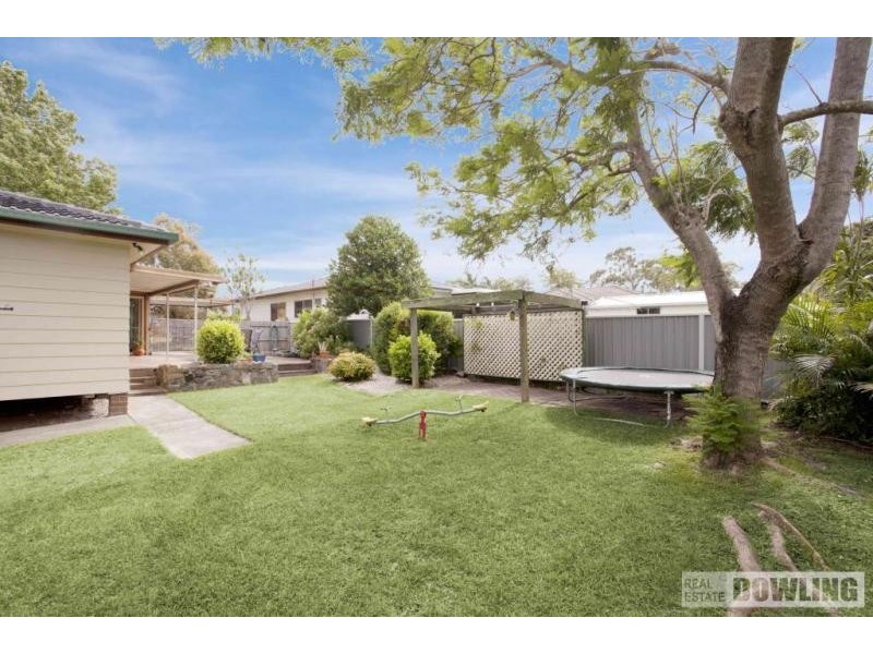 20 Silver Wattle Drive, Medowie NSW 2318
