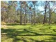11 Griffiths Avenue, Medowie NSW 2318
