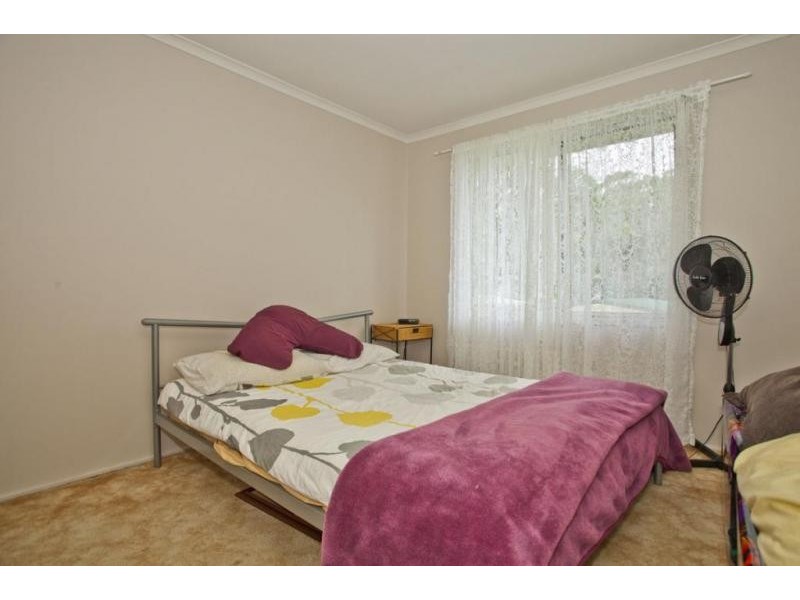 37 Brush Box Avenue, Medowie NSW 2318