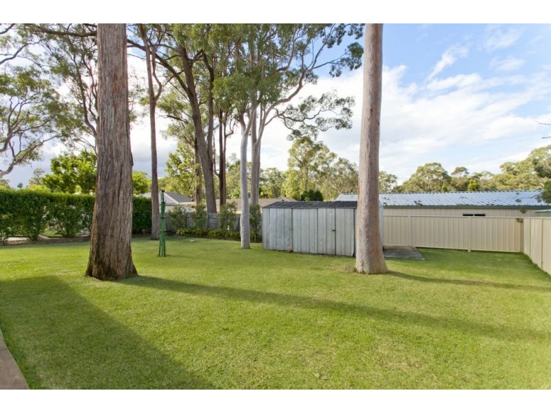 18 Coachwood Drive, Medowie NSW 2318