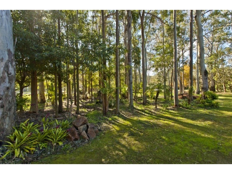 17 Kula Road, Medowie NSW 2318