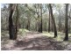 Lot 230 Richardson Road, Medowie NSW 2318