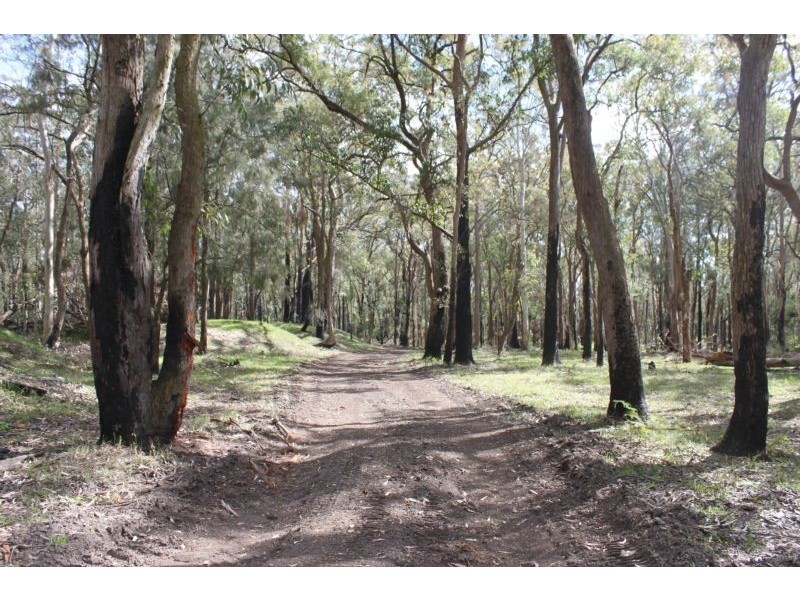 Lot 230 Richardson Road, Medowie NSW 2318