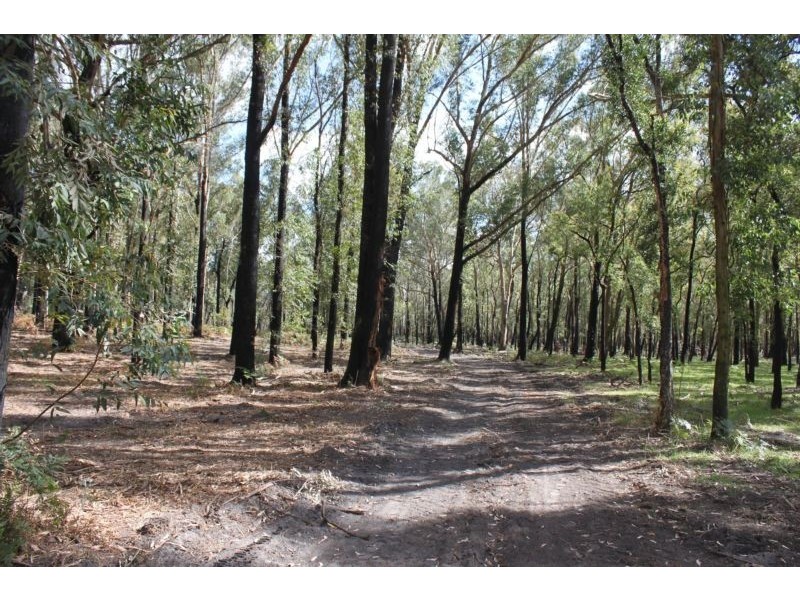 Lot 230 Richardson Road, Medowie NSW 2318