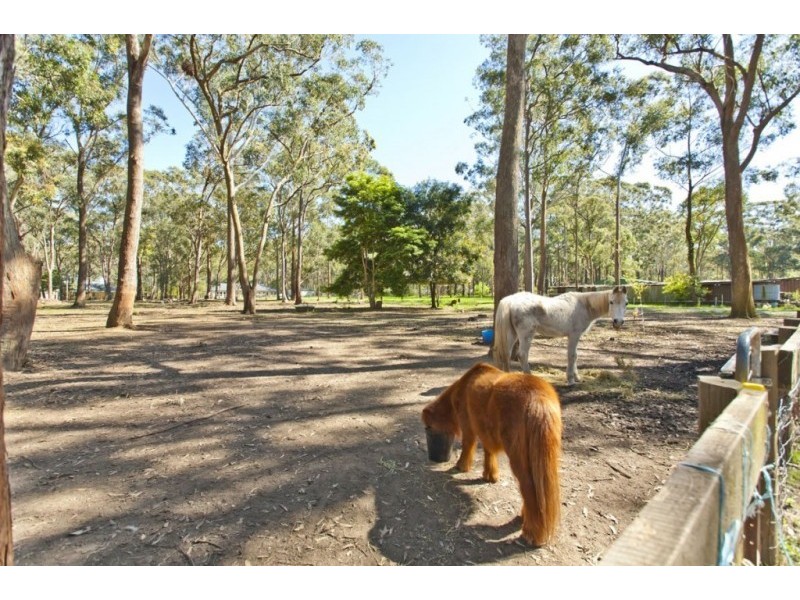 22 Abundance Road, Medowie NSW 2318