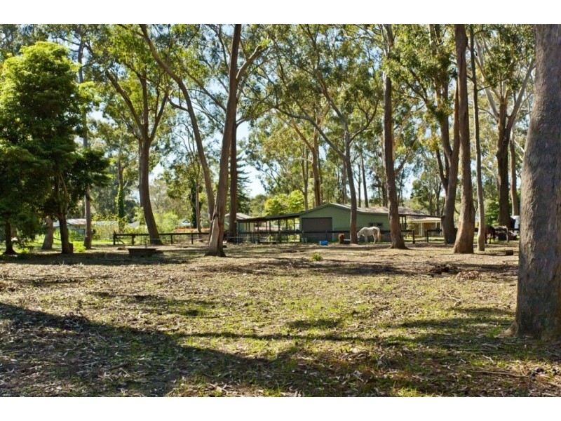 22 Abundance Road, Medowie NSW 2318