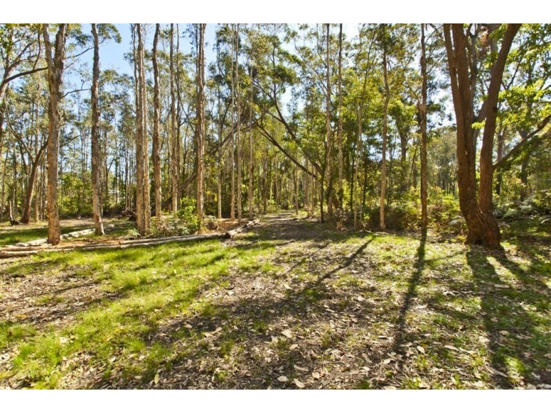 37 Abundance Road, Medowie NSW 2318
