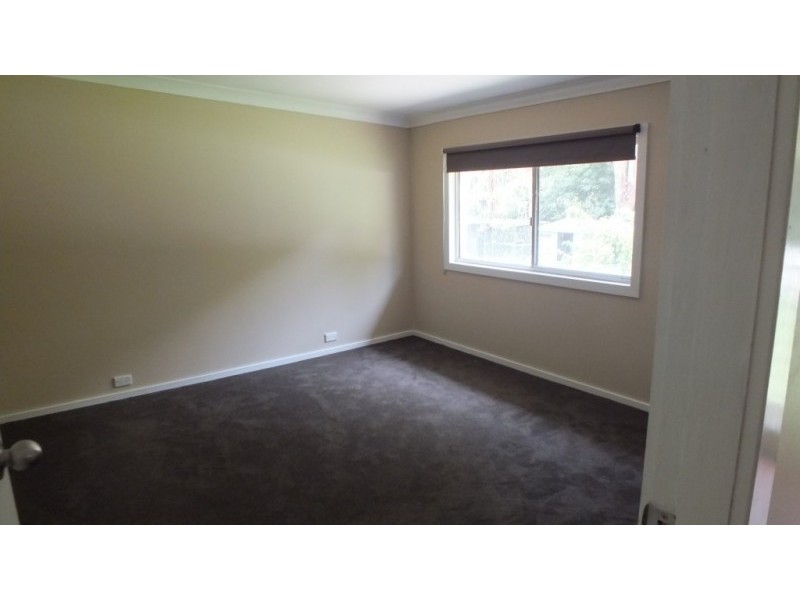 38 Grey Gum Street, Medowie NSW 2318