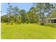 31 Lewis Drive, Medowie NSW 2318
