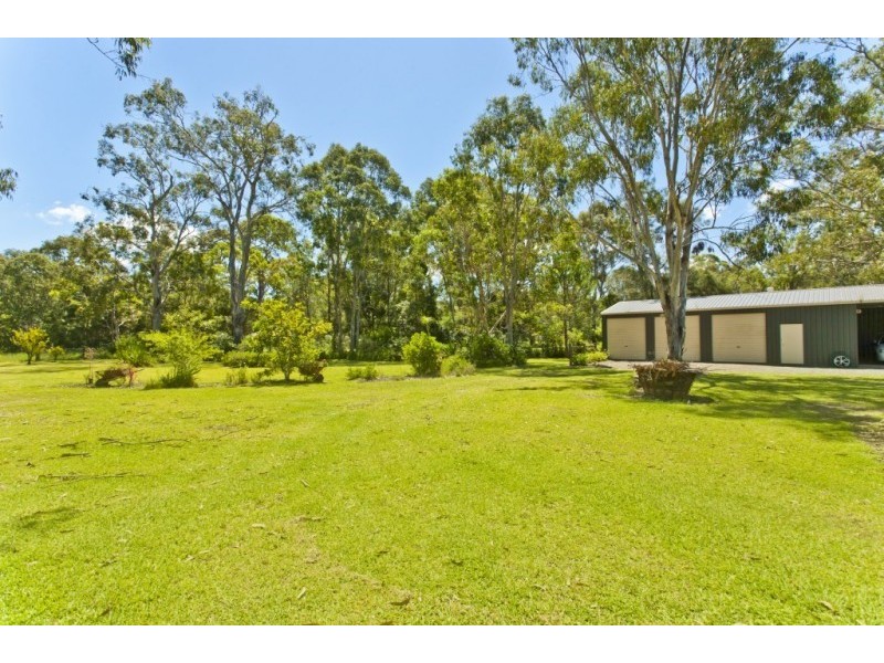 31 Lewis Drive, Medowie NSW 2318