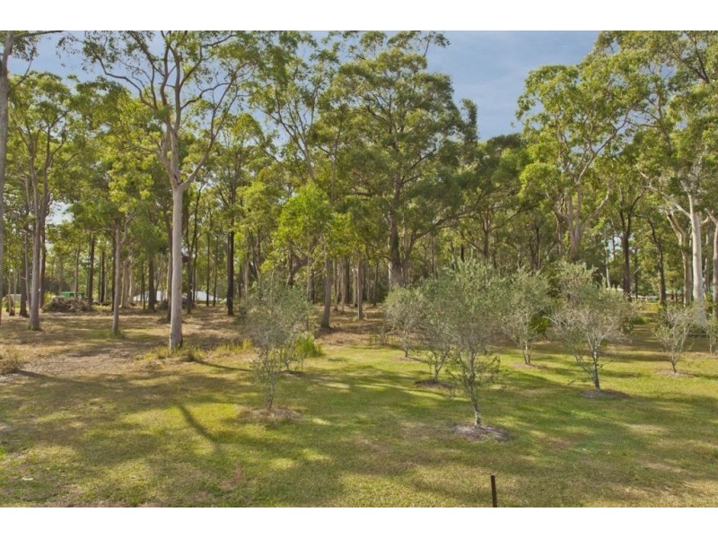 16A Mahogany Place, Medowie NSW 2318