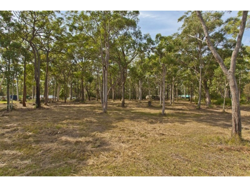 16A Mahogany Place, Medowie NSW 2318