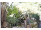 34 Coachwood, Medowie NSW 2318