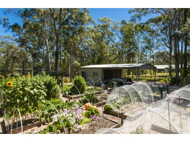 43 Kirrang Drive, Medowie NSW 2318
