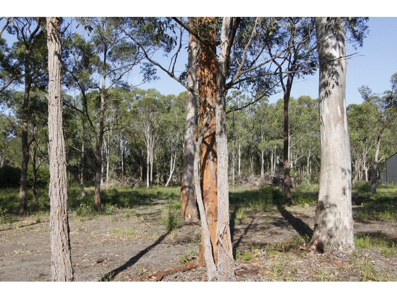 2/11 Kirrang Drive, Medowie NSW 2318