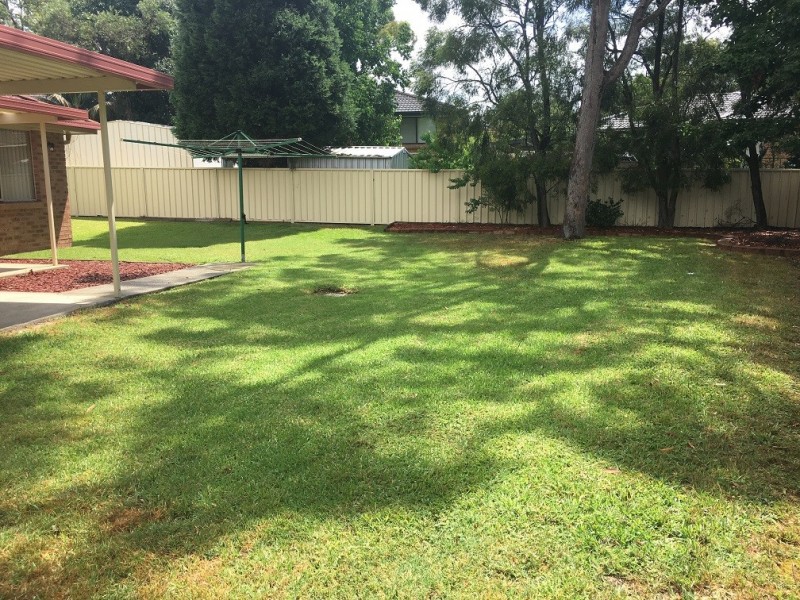 5 Agonis Place, Medowie NSW 2318