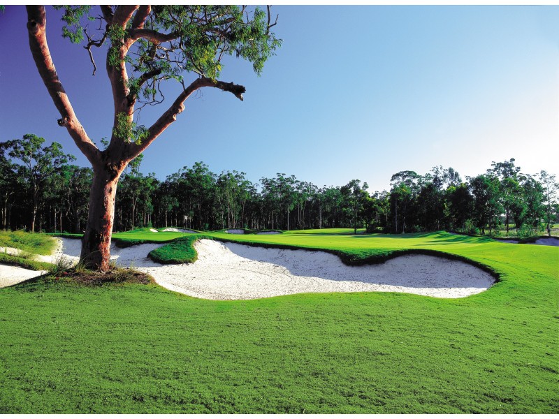 3 Muirfield Way, Medowie NSW 2318