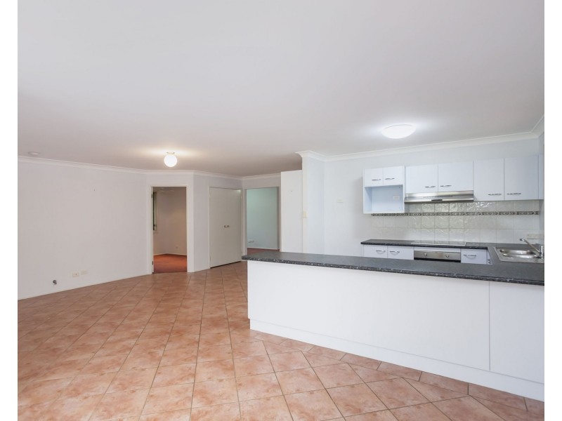 8 Dangar Circuit, Medowie NSW 2318