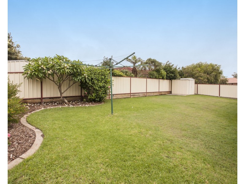 8 Dangar Circuit, Medowie NSW 2318