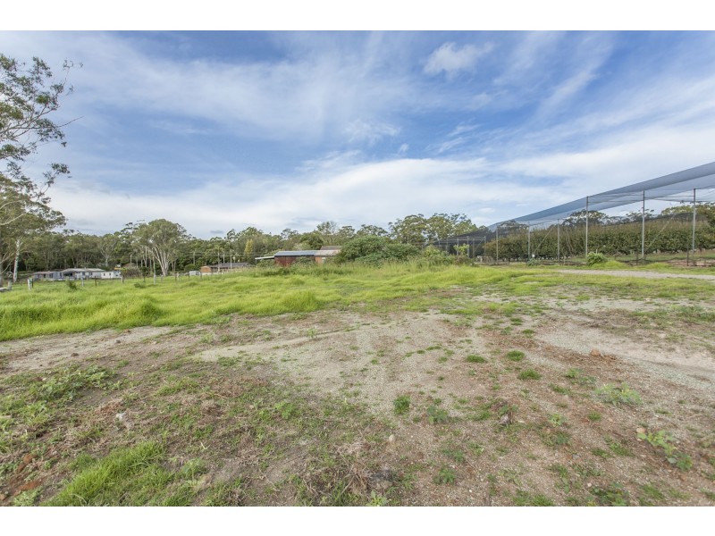653 Medowie Road, Medowie NSW 2318