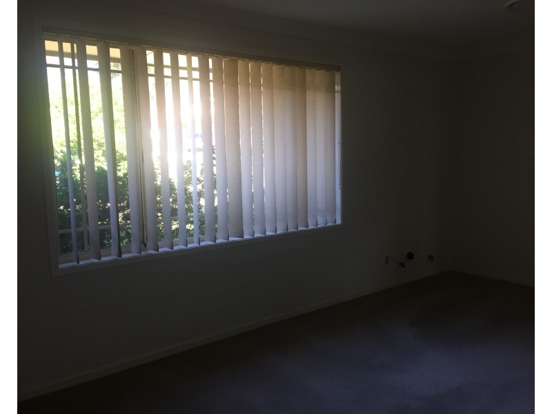 4 Agonis Place, Medowie NSW 2318
