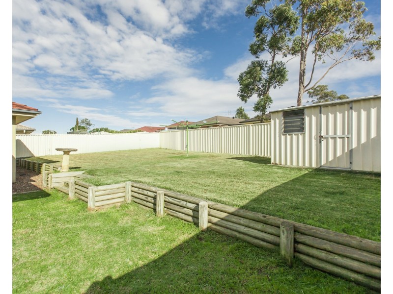 81 Coachwood Drive, Medowie NSW 2318