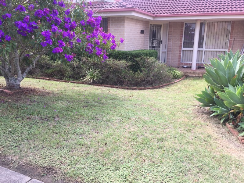 1 Lilly Pilly Street, Medowie NSW 2318